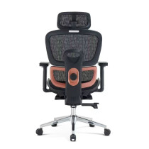 Wholesale Mesh Office Executive Chairs with Lumbar Support Design |  Perfect Lunch Break Chair for Professionals