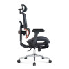 Wholesale Mesh Office Executive Chairs with Lumbar Support Design |  Perfect Lunch Break Chair for Professionals