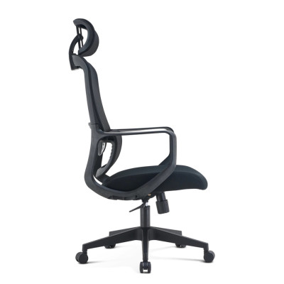 Customizable Mesh Executive Office Chair with Adjustable Headrest | Wholesale OEM & ODM Services for Distributors