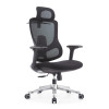 Wholesale Luxury High Back Office Chair Adjustable Ergonomic Mesh Executive Seat with Lumbar Support Modern Design Fabric