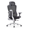 Wholesale Luxury High Back Office Chair Adjustable Ergonomic Mesh Executive Seat with Lumbar Support Modern Design Fabric