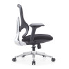 Ergonomic Black Task Office Chair with Adjustable Armrests Middle Back Modern Mesh Fabric Design Aluminium Swivel Chair