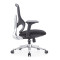Ergonomic Black Task Office Chair with Adjustable Armrest Modern Mesh Fabric Design Swivel Chair