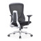 Ergonomic Black Task Office Chair with Adjustable Armrest Modern Mesh Fabric Design Swivel Chair