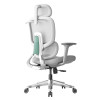 Comfortable Executive Office Chair with Headrest - Wholesale Ergonomic Mesh Swivel Chair for Home Office | OEM & ODM Manufacturing