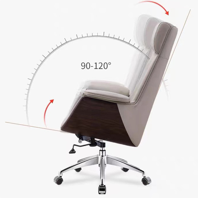 ergonomics office chair