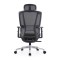 Modern Design Mesh Executive Office Chair for Wholesale | Adjustable Swivel Ergonomics with Castors for Home Office Use