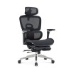 Full Mesh Ergonomics Office Chair for Wholesale | 6D Adjustable Armrests| Ideal for Home Office