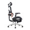 Full Mesh Ergonomics Office Chair for Wholesale | 6D Adjustable Armrests| Ideal for Home Office