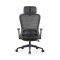 Ergonomics High Back Mesh Chair | Adjustable Headrest Executive Office Chair With Swivel Design