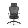 Ergonomics High Back Mesh Chair | Adjustable Headrest Executive Office Chair With Swivel Design
