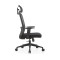 Ergonomics High Back Mesh Chair | Adjustable Headrest Executive Office Chair With Swivel Design