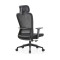 Ergonomics High Back Mesh Chair | Adjustable Headrest Executive Office Chair With Swivel Design