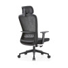 Ergonomics High Back Mesh Chair | Adjustable Headrest Executive Office Chair With Swivel Design