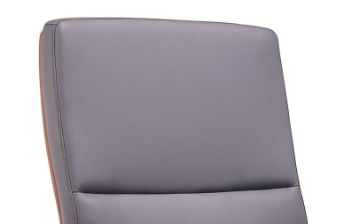 Conference Chair
