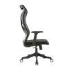 Ergonomic Chair | Mesh Home Office Chair With Lumbar Support Supplier in China(YF-A228)