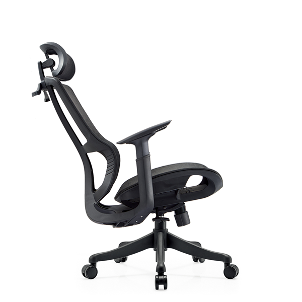 Ergonomic executive chair