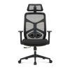 Поворотное кресло для поясничной опоры | Эргономичный сетчатый стул с подлокотником для офисного поставщика (YF-A666)