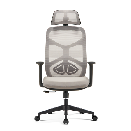 Ergonomic Mesh Chair