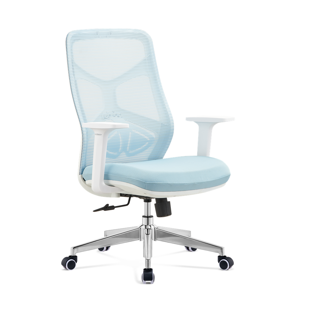 Ergonomic Chair