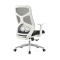 Ergonomic Chair| Comfort Swivel Task Chair With Lumbar Support For Office Supplier(YF-B666-1)