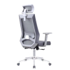 Black Mesh Executive Chair | Swivel Ergonomic Chair with Armrest Design For Office Supplier