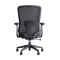 Modern Adjustable Ergonomic Mesh Office Task Chair | Engineering Projects, Offering Full Customization