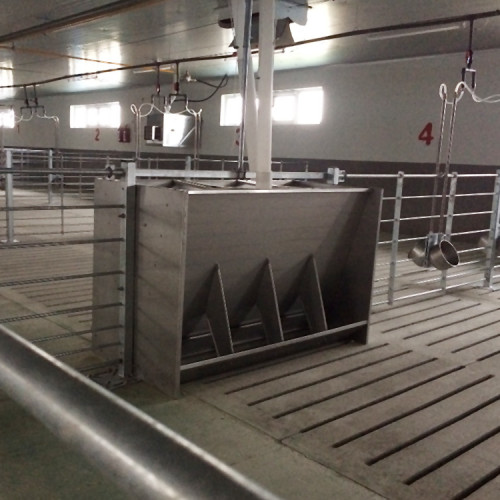 Cason | Stainless Steel  Single/double sided nursery pig feeders for pig farm- feeder | Feeding Equipment Wholesale