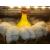 Cason | Europe design Plastic broiler poultry feed pan chicken feeder | Feeding Accessories Wholesale