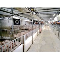 Eight step disinfection method for pig farms