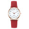 New Women Luxury Quartz Alloy Watch Ladies Fashion Stainless Steel Dial Casual Bracelet Watch Leather Wristwatch