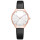 Luxury Women Watches Sky Dial Analog Quartz Watch Leather Band Waterproof Wrist Watches for Ladies