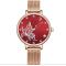 2021 new design watch lady mechanical automatic stainless mesh mechanical women watch