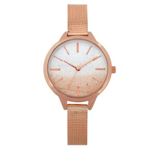 Elegant Women's Watches Fashion Simple Ladies Quartz Wristwatch