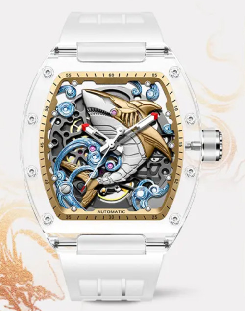 Luxury Classic Stainless Steel Wristwatch Mechanical Skeleton Watches Men Automatic Watch