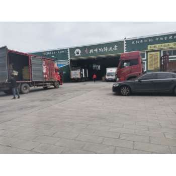 Chicken flavor condiments chicken bouillon powder chicken stock powder