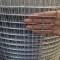 Chicken cage galvanized welded wire mesh roll