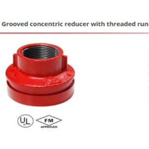 Grooved concentric reducer with threaded run