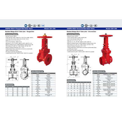 300PSI  OS&Y Flanged End Gate Valve