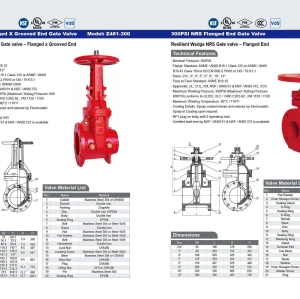 300PSI  OS&Y Flanged X Grooved End Gate Valve