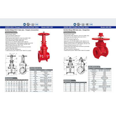 300PSI  OS&Y Flanged X Grooved End Gate Valve
