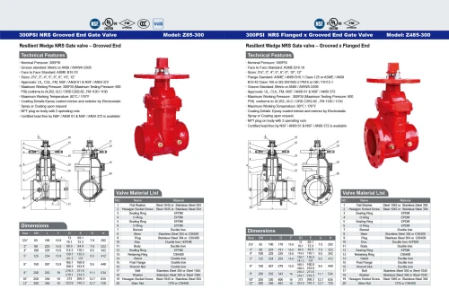 300PSI  NRS Grooved End Gate Valve