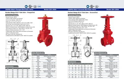 300PSI  OS&Y Grooved End Gate Valve