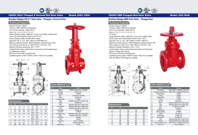 300PSI  OS&Y Flanged X Grooved End Gate Valve