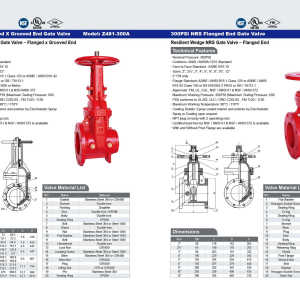 300PSI  OS&Y Flanged X Grooved End Gate Valve