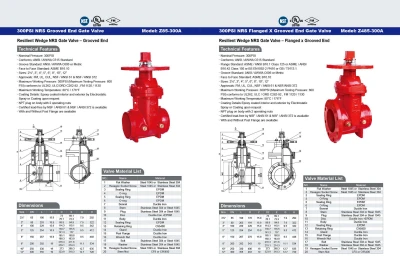 300PSI  NRS Grooved End Gate Valve