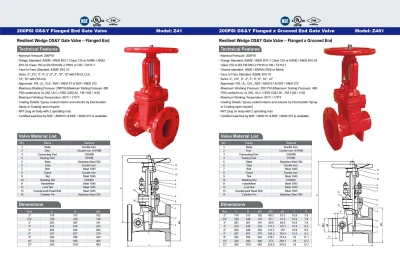 200PSI  OS&Y Flange End Gate Valve