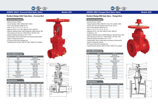 200PSI  OS&Y Grooved End Gate Valve
