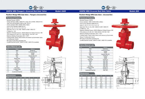 200PSI  NRS Flanged  x Grooved End Gate Valve