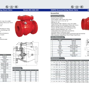 300PSI  Flanged  Swing Check Valve